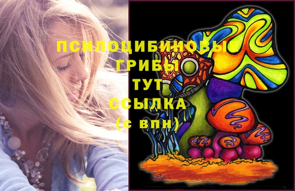 ECSTASY Корсаков