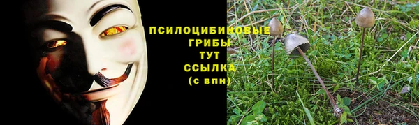a pvp Костерёво